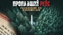 постер аудиокниги Пропавший самолет