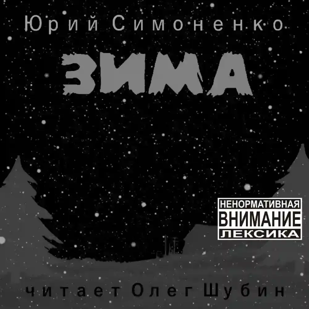 постер аудиокниги Зима