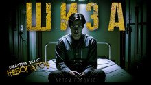 постер аудиокниги Шиза