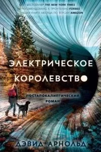 постер аудиокниги Электрическое королевство - Дэвид Арнольд