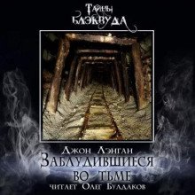 постер аудиокниги Заблудившиеся во тьме