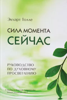 постер аудиокниги Сила момента сейчас