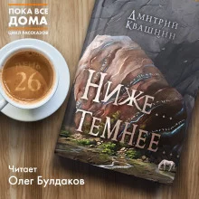 постер аудиокниги Ниже... темнее...