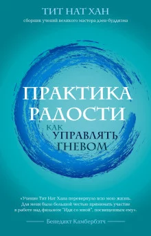 постер аудиокниги Практика радости. Как управлять гневом