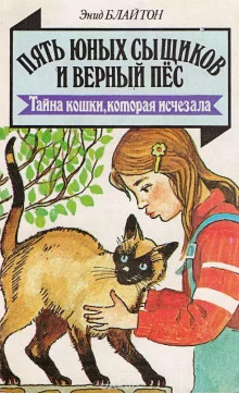 постер аудиокниги Тайна пропавшей кошки