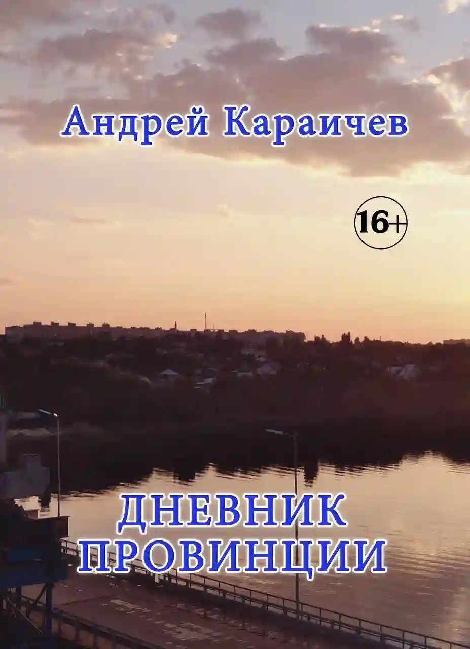 постер аудиокниги Дневник провинции