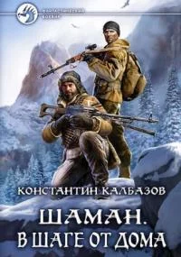 постер аудиокниги Шаман 3. В шаге от дома