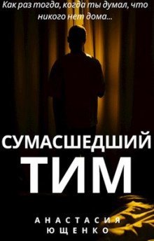 постер аудиокниги Сумасшедший Тим