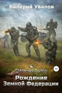 постер аудиокниги Стальные волки 1. Рождение Земной Федерации - Валерий Увалов