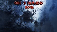 постер аудиокниги Сон в зимнюю ночь