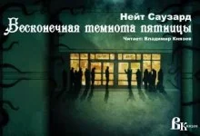 постер аудиокниги Бесконечная Черная пятница