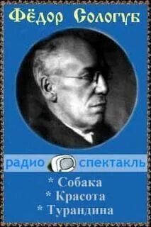 Красота. Собака. Турандина - Сологуб Федор