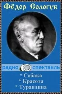 постер аудиокниги Красота. Собака. Турандина - Сологуб Федор