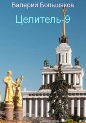 постер аудиокниги Целитель. Книга девятая - Валерий Большаков