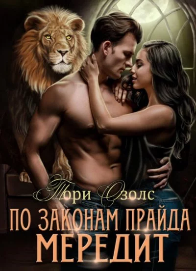 постер аудиокниги Мередит - Озолс Тори