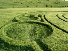 постер аудиокниги Структура реальности