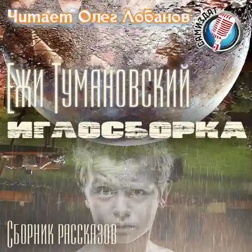 постер аудиокниги Иглосборка