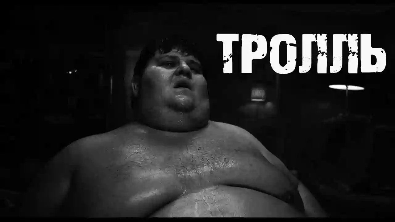 постер аудиокниги Тролль