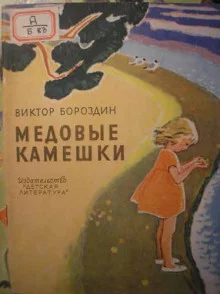 постер аудиокниги Медовые камешки