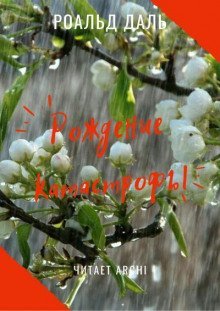 постер аудиокниги Рождение катастрофы