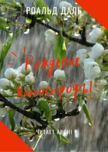 постер аудиокниги Рождение катастрофы