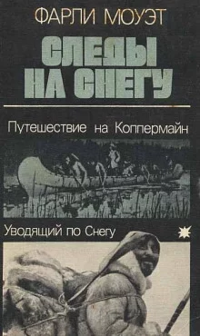 постер аудиокниги Следы на снегу