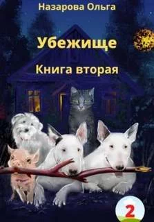 постер аудиокниги Убежище. Книга вторая - Назарова Ольга