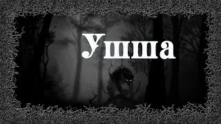 постер аудиокниги Ушша - Денис Приёмышев, Ольга Цветкова