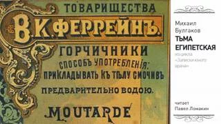 постер аудиокниги Тьма египетская - Булгаков Михаил