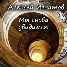постер аудиокниги Мы снова увидимся!