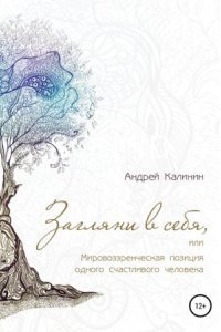 Загляни в себя, или Мировоззренческая позиция одного счастливого человека - Андрей Калинин