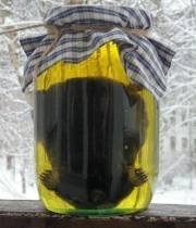 постер аудиокниги Кротовуха - Георгий Халапсин