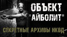 Секретные архивы НКВД. Объект "Айболит"