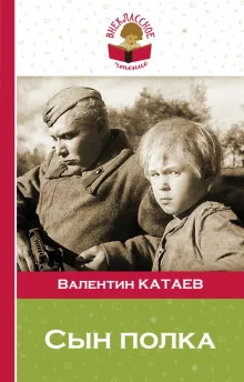 постер аудиокниги Сын полка