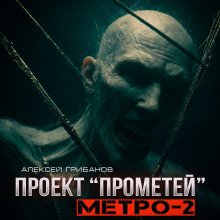 постер аудиокниги Метро-2