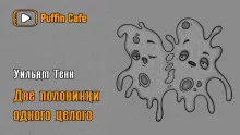 постер аудиокниги Две половинки одного целого