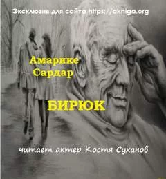 постер аудиокниги Бирюк - Амарике Сардар