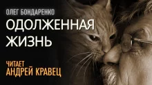 постер аудиокниги Одолженная жизнь