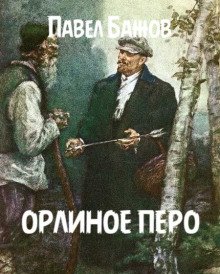 постер аудиокниги Орлиное перо