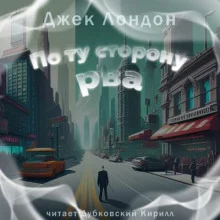 постер аудиокниги По ту сторону рва