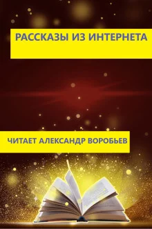 постер аудиокниги Рассказы из интернета