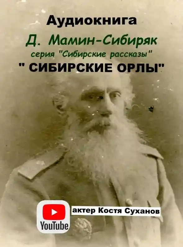 постер аудиокниги Сибирские орлы