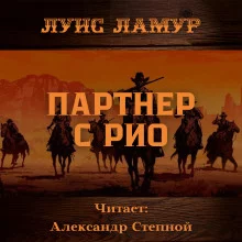 постер аудиокниги Партнёр с Рио