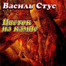 постер аудиокниги Цветок на камне
