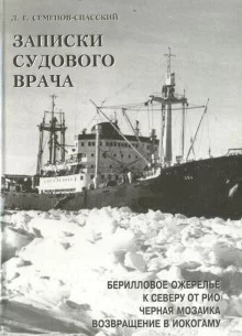 постер аудиокниги Белый дрейф