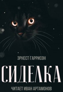 постер аудиокниги Сиделка