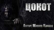 постер аудиокниги Цокот