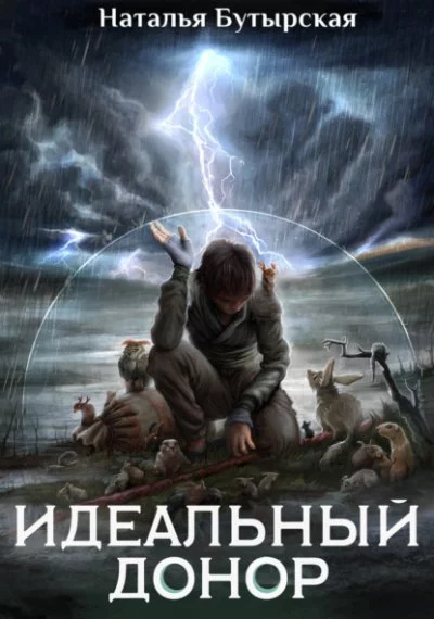 постер аудиокниги Академия. Книга 2, Герой - Наталья Бутырская