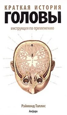постер аудиокниги Краткая история головы. Инструкция по применению