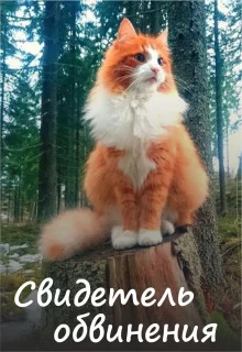 постер аудиокниги Свидетель обвинения